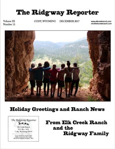 Summer camp newsletter