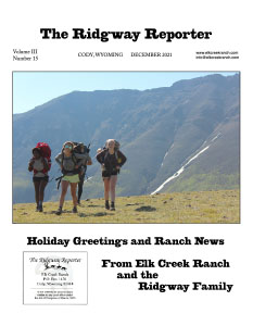 Summer camp newsletter